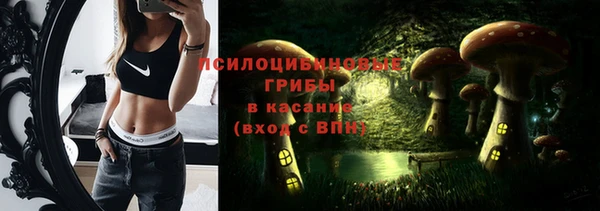 соль ск Бородино