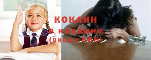 твердый Слюдянка