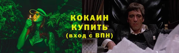 мет Снежногорск