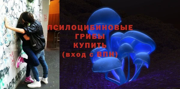 прущие крисы Богородицк